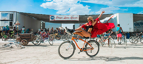 Our favorite pictures from 2015